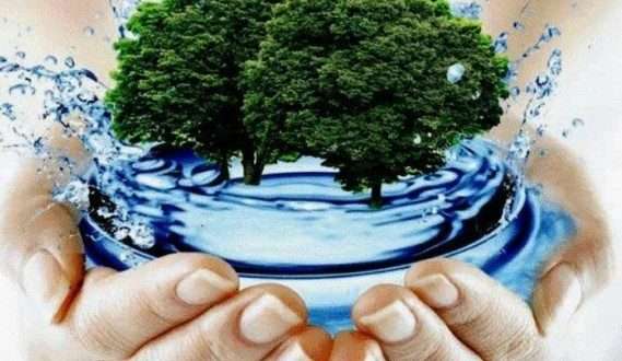 Вода Чистой Реки: Как Российские Производители Систем Водоочистки Вносят Свой Вклад в Экологию